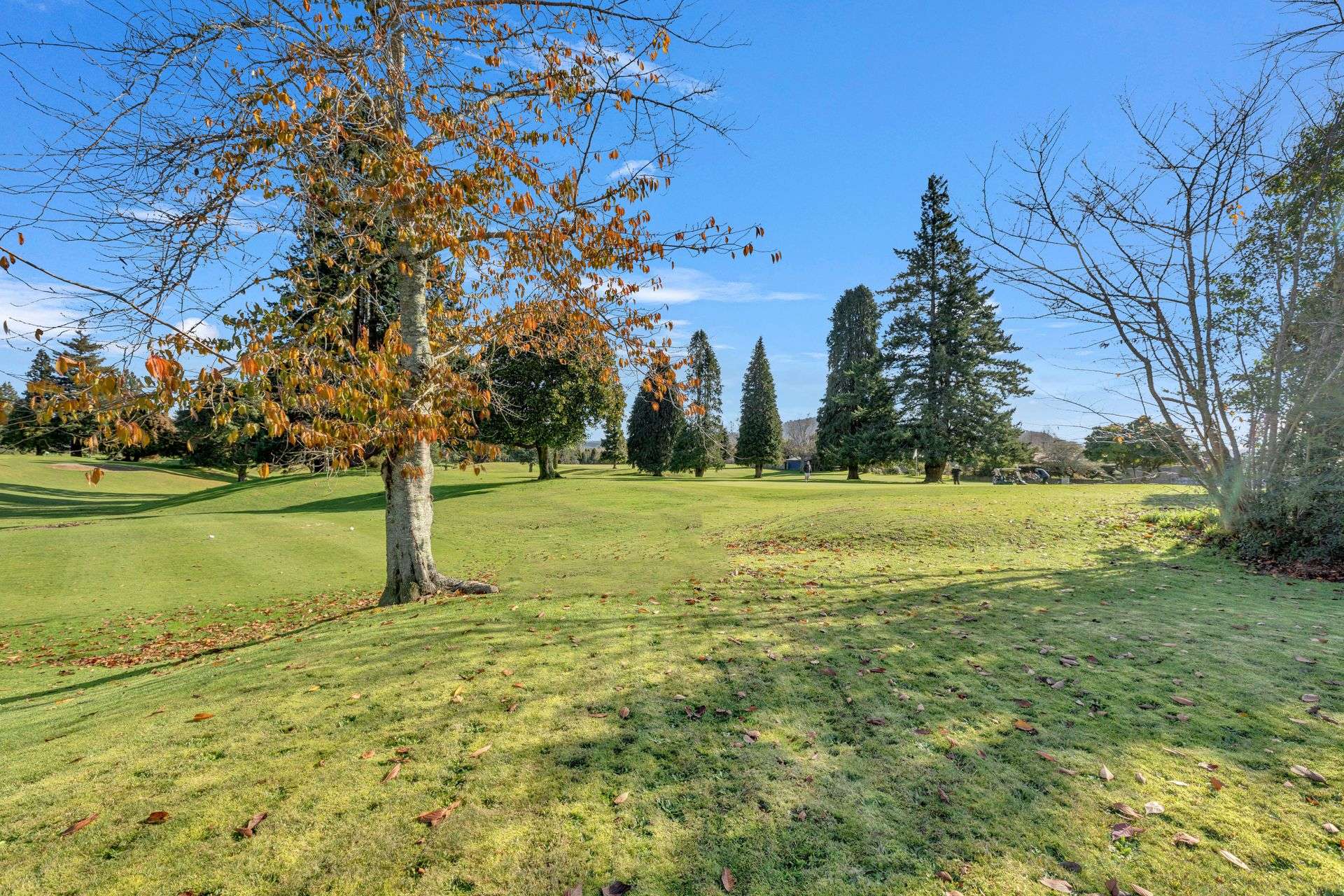 25B Otonga Road Springfield_0