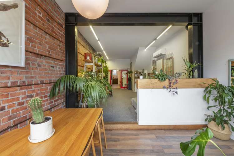 81 Aro Street Aro Valley_2