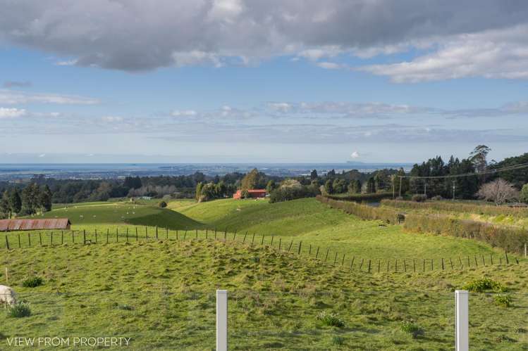 1102 No 2 Road Te Puke_19