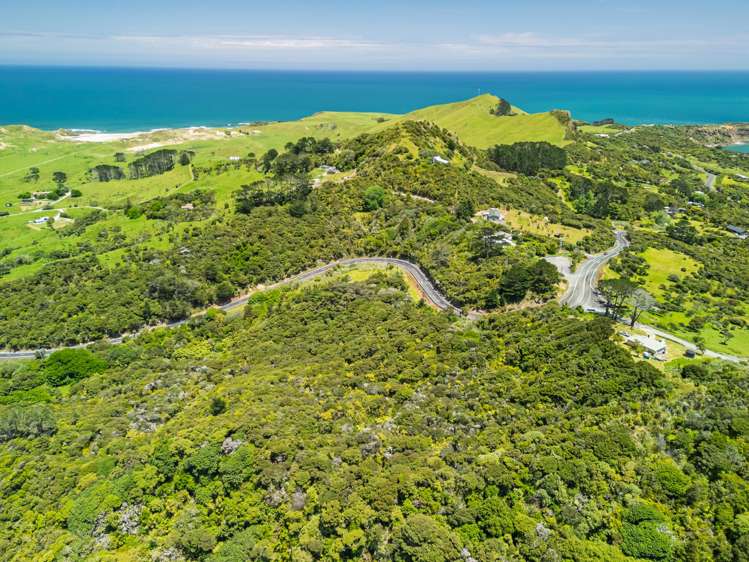 Pt Waiwhatawhata 1A3 State Highway 12 Omapere_12