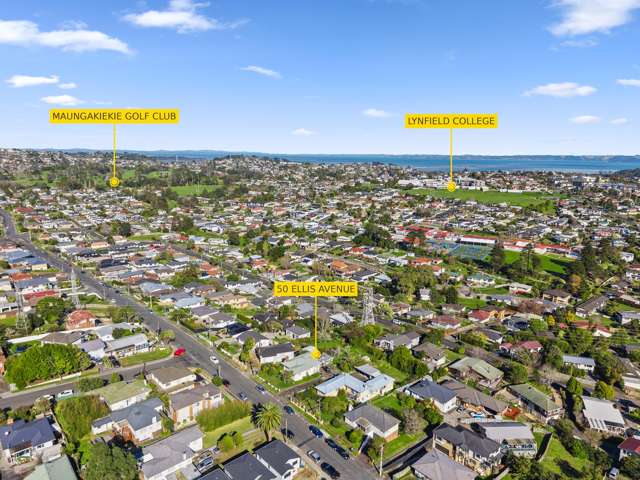 50 Ellis Avenue Mount Roskill_4