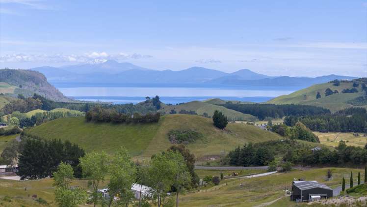 1040 Mapara Road (Proposed Lot 1) Kinloch_12