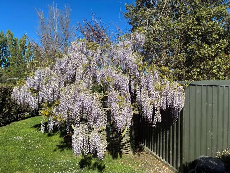 52 Reserve Road Amberley_26