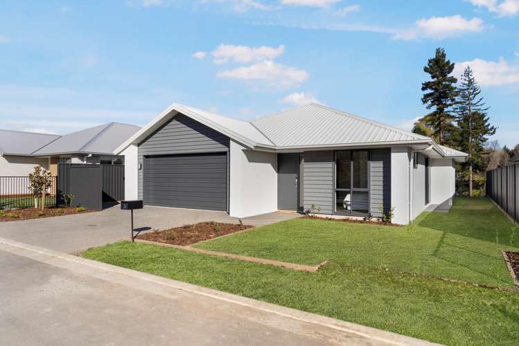 26 Kauri Lane Omokoroa_1