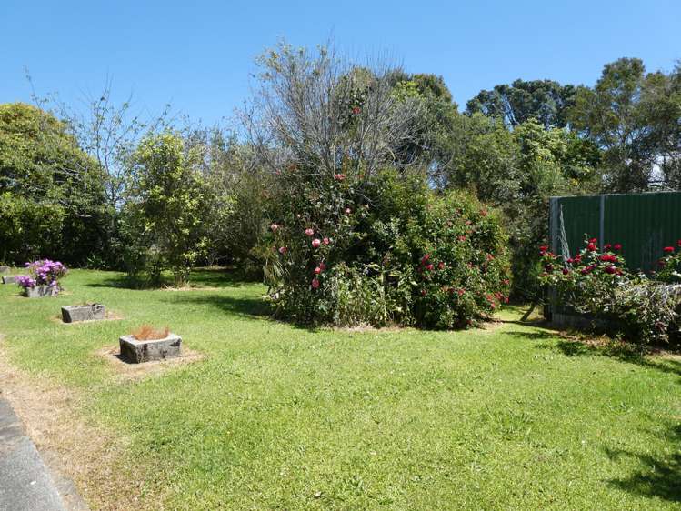 9 Ives Street Hector_14