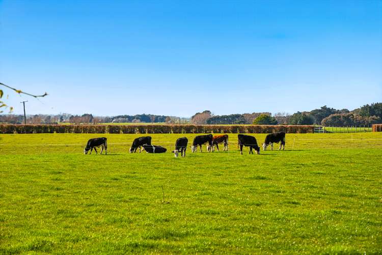 208 Kukutauaki Road Koputaroa_23