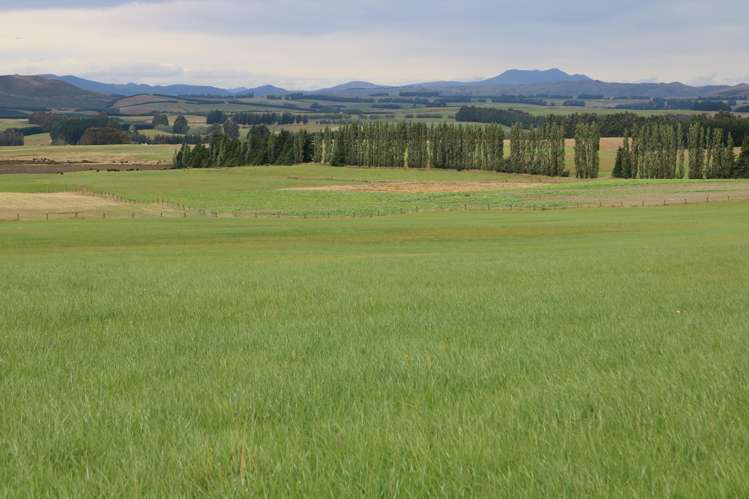 305 Lynwood Road Te Anau_22