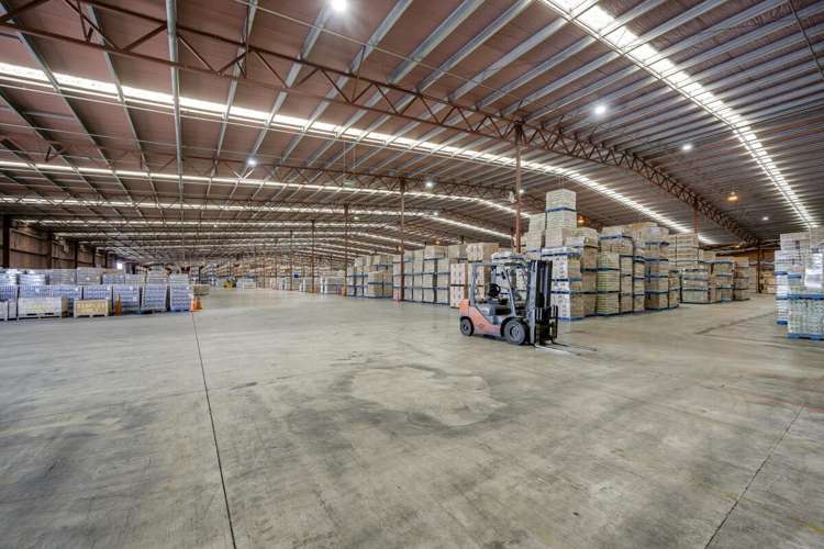 113 Elwood Road Tomoana_1