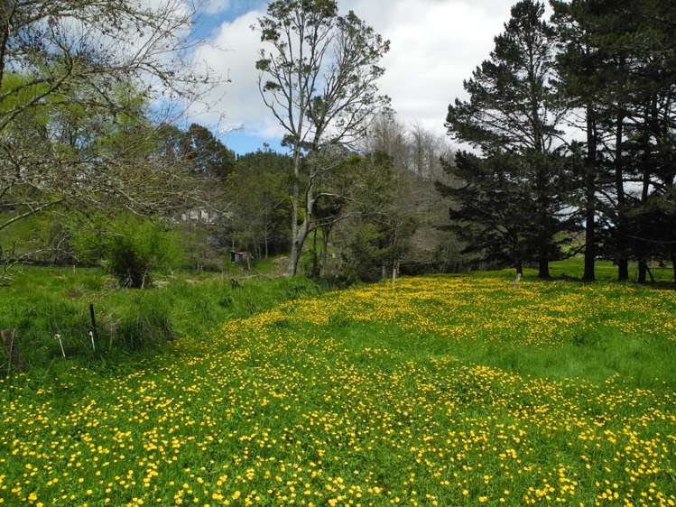 144 Honikiwi Road Otorohanga_10