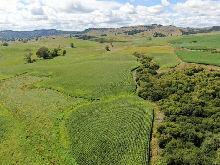 37 Napinapi Road Te Mapara_19