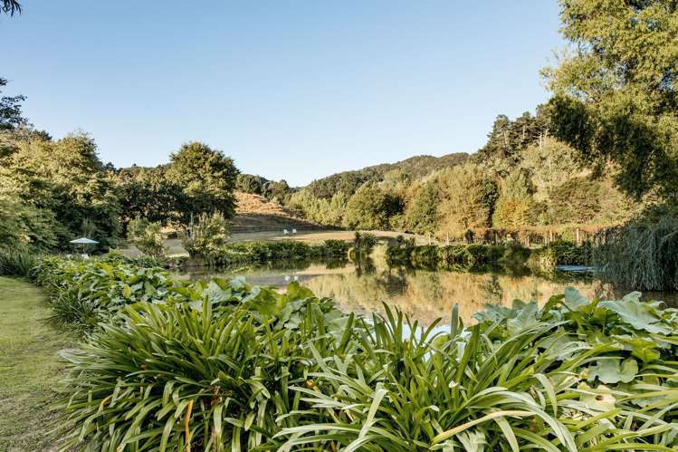 186 Twilight Road Clevedon_31