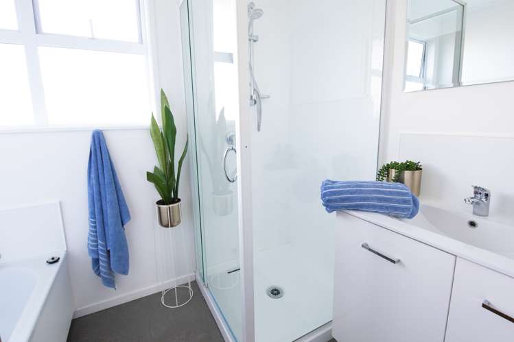 30 Salisbury Avenue Tamatea_9