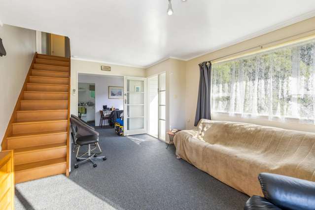 12 Mount Pleasant Road Aro Valley_2