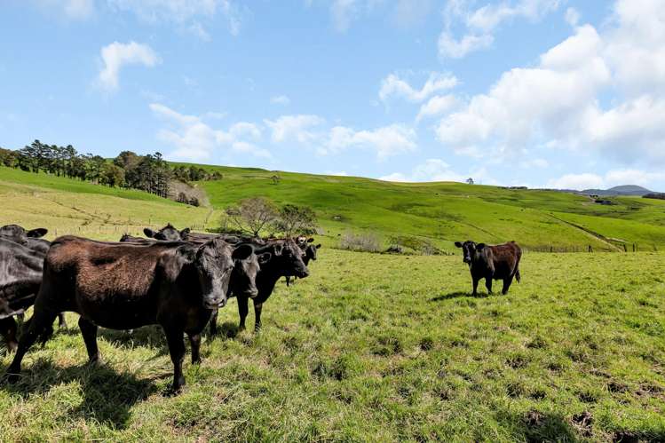 894 State Highway 1 Whangarei Surrounds_20