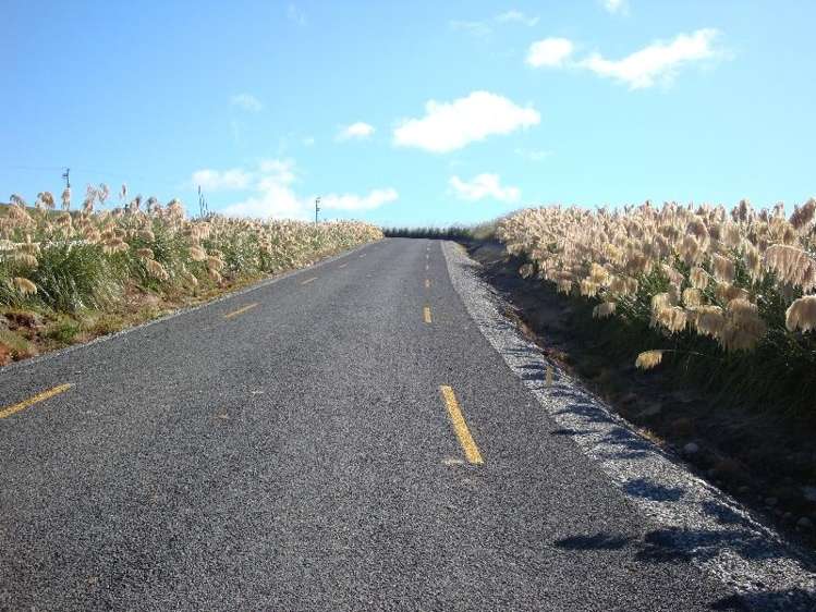 61 The Cliffs Tuatapere_12