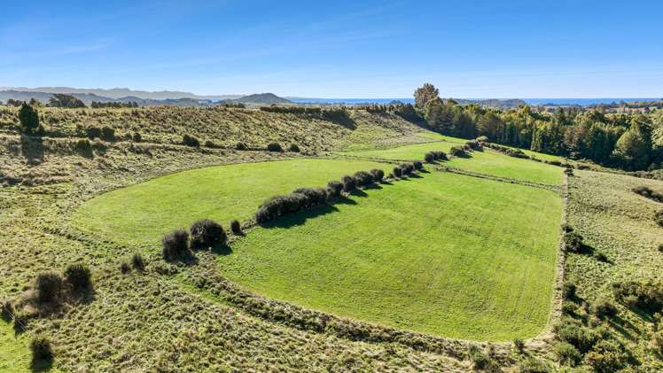 333 Packard Road Takaka_5