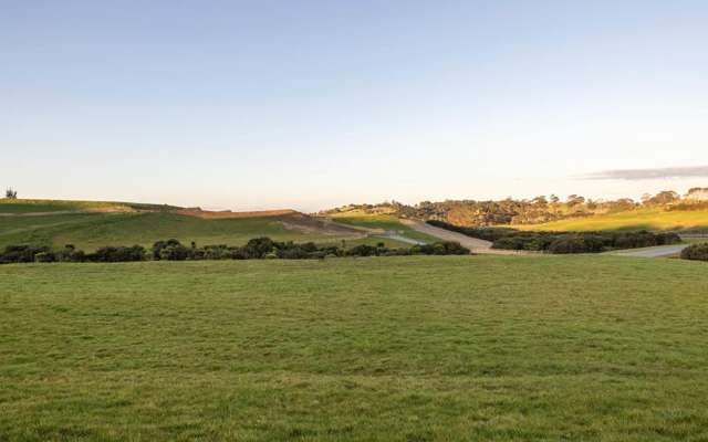 Palliser Downs Drive Wainui_2