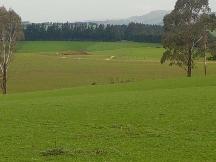 1680 Mahinerangi Road Waipori_35