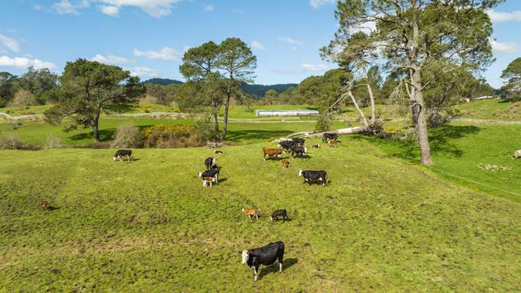 259 Mcphail Road Oropi_20