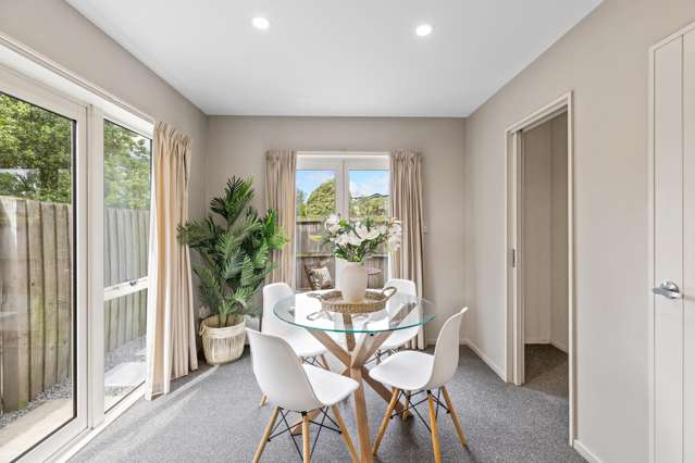 45 Walton Street Sydenham_4