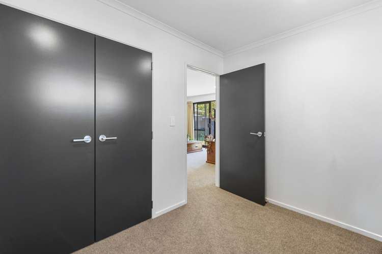 6A Upland Road Western Heights_8