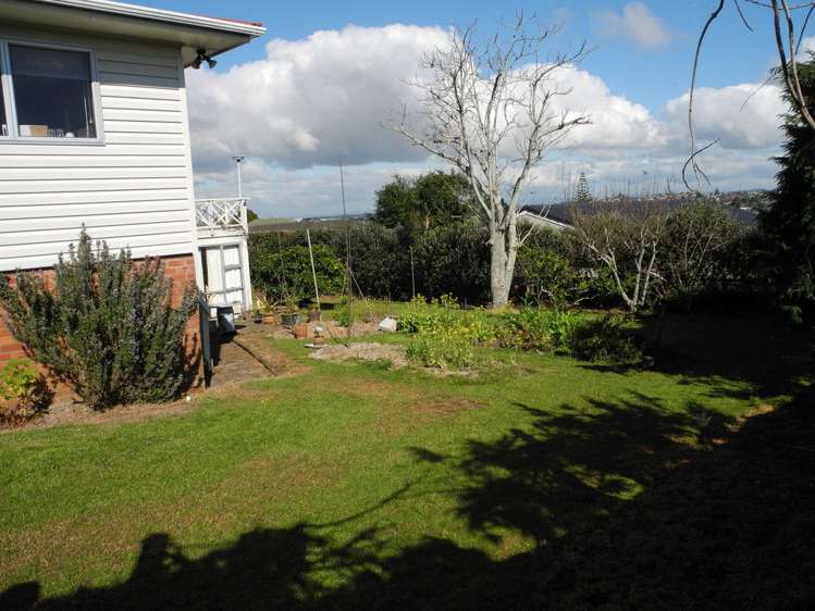 163 Cook Street Howick_7