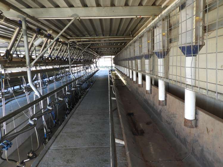 400 Keens Road Springfield_5