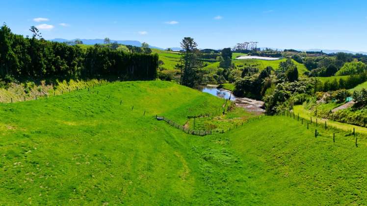374 Youngson Road Whakamarama_26