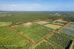 Avocado orchard with tourist accommodation on market