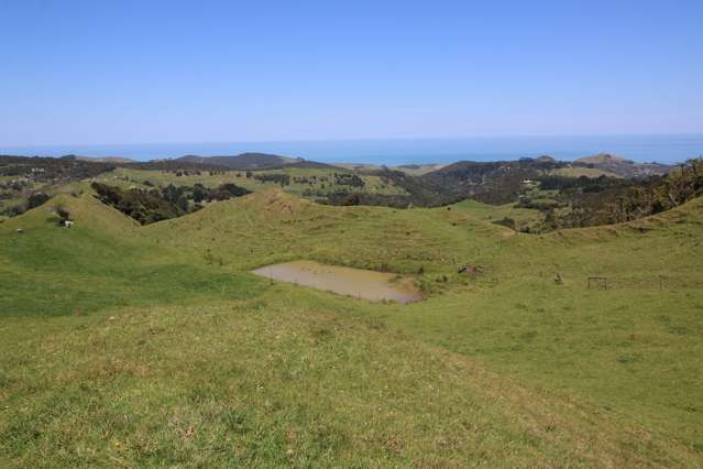 546 Waiotemarama Gorge Road Waimamaku_4