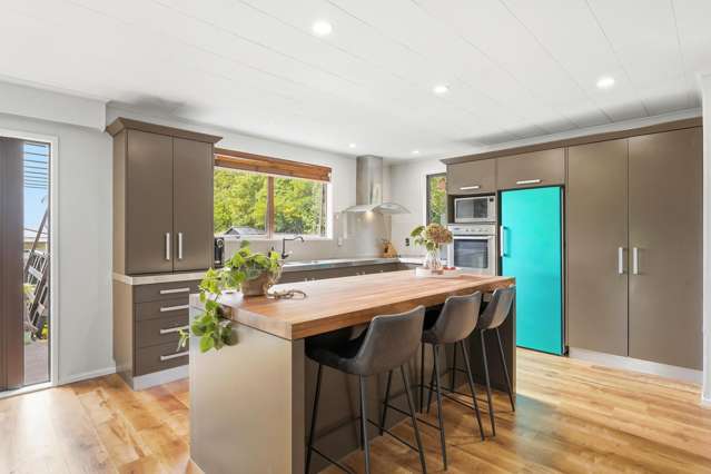 41 Edward Street Pahiatua_4