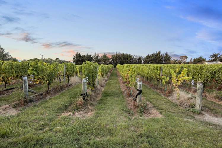 686 Dillons Point Road Dillons Point_24