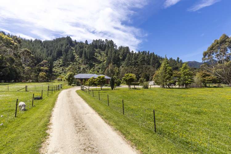 132 Mount Riley Road Havelock_35