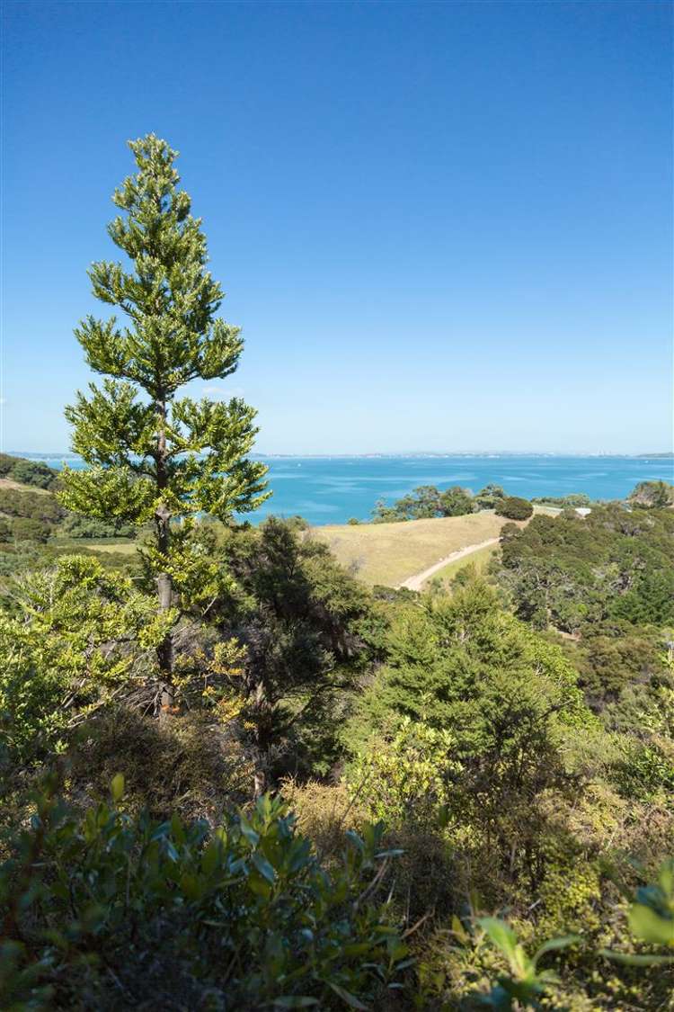 29 Rothschild Terrace Waiheke Island_28