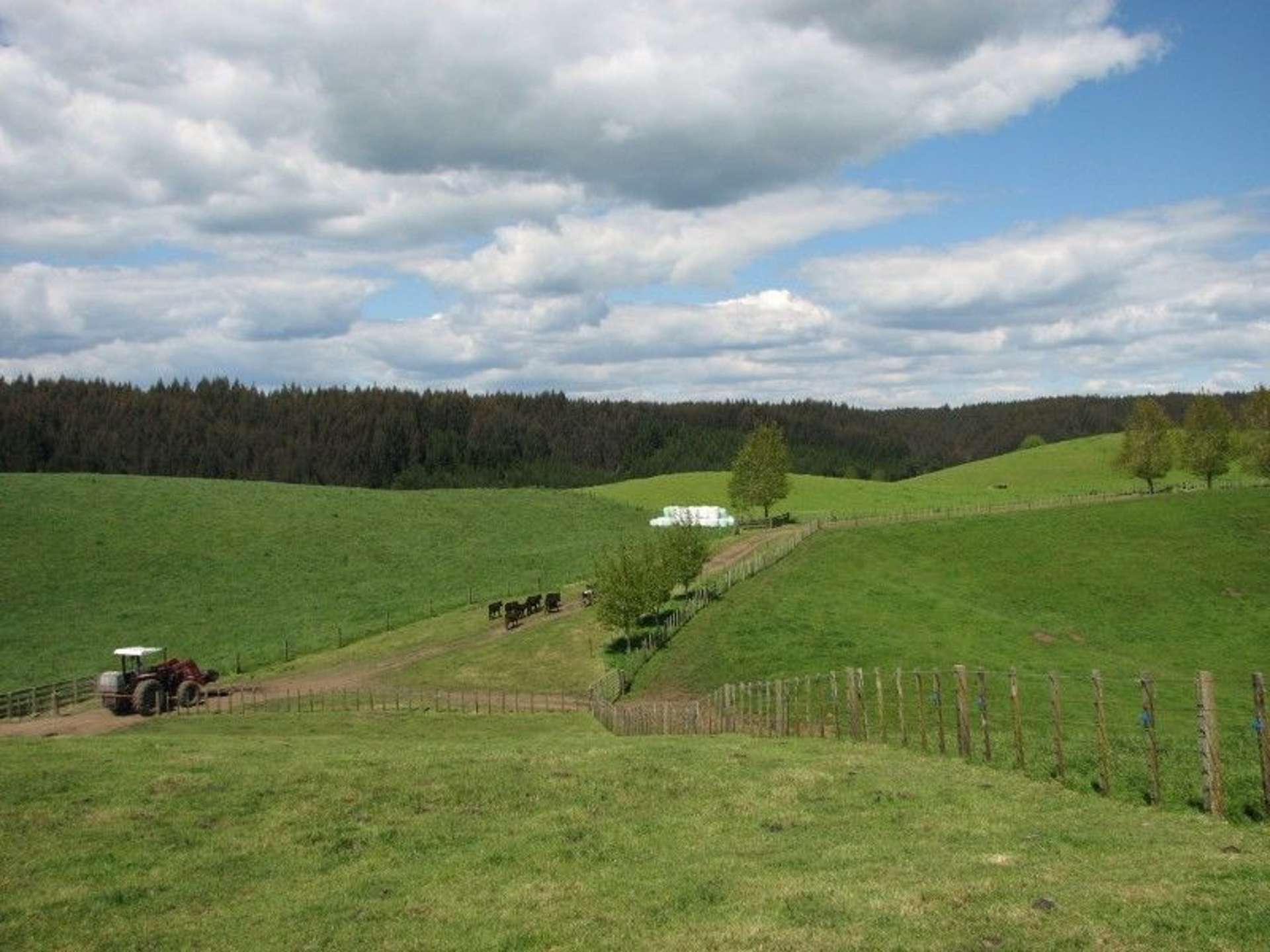 53 Worth Road Putaruru_0