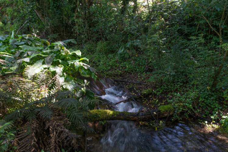 32 Icarus Place Westbrook_15