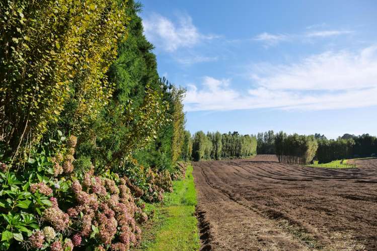 58 Rawaka Drive Katikati_10