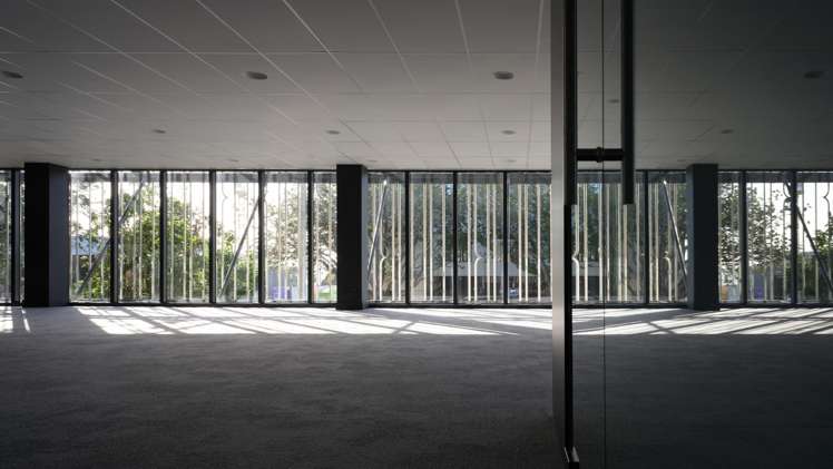 115 Cameron Road (Pūtahi Teia) Tauranga Central_13