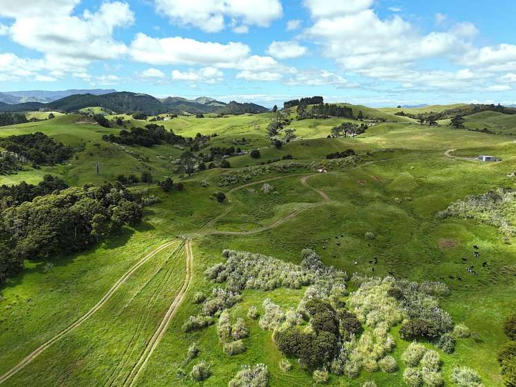 497 Opanake Road Dargaville_4