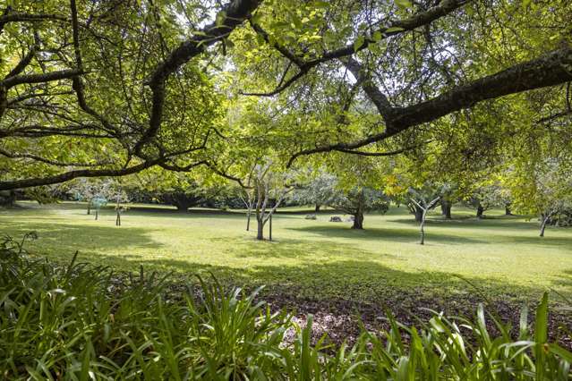 947 Omanawa Road Lower Kaimai_3