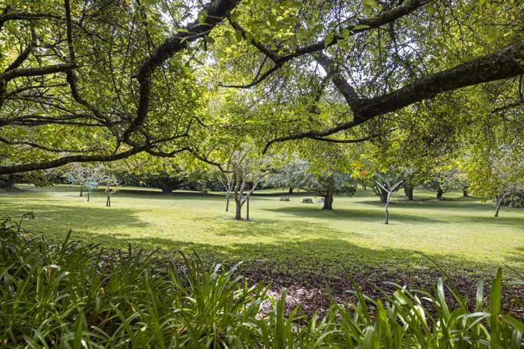 947 Omanawa Road Lower Kaimai_2