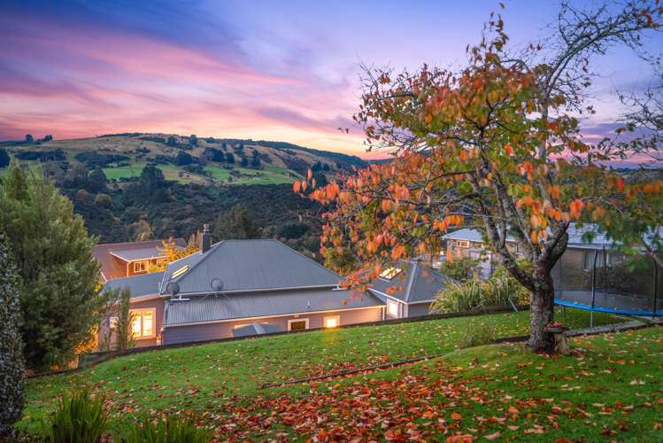 546 North Road Normanby_11