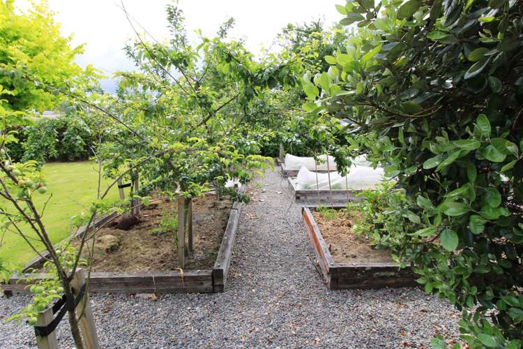 136 Essex Street Masterton_22