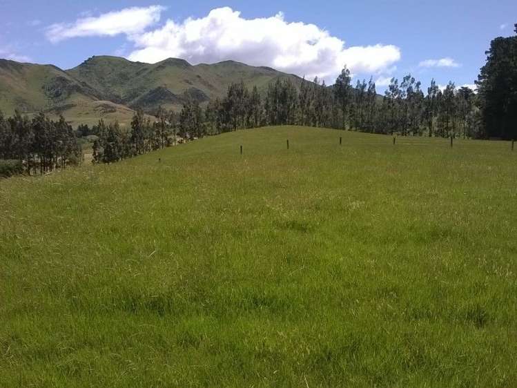 1092 The Peaks Road Hawarden_17