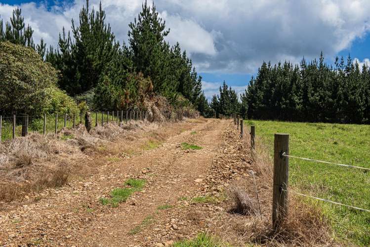 436A Glenmohr Road Waipu_44