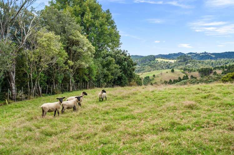 71 Ngunguru Ford Road Kiripaka_10