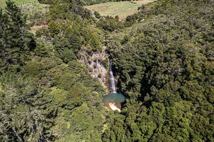 731 Puhipuhi Road Whakapara_42