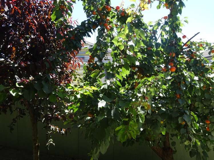 2/16 Allens Road Allenton_16