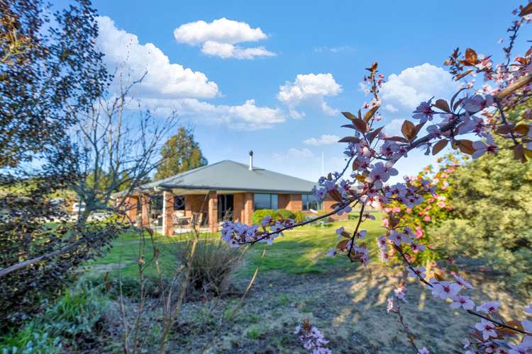 258 Loburn Kowai Road Loburn_30