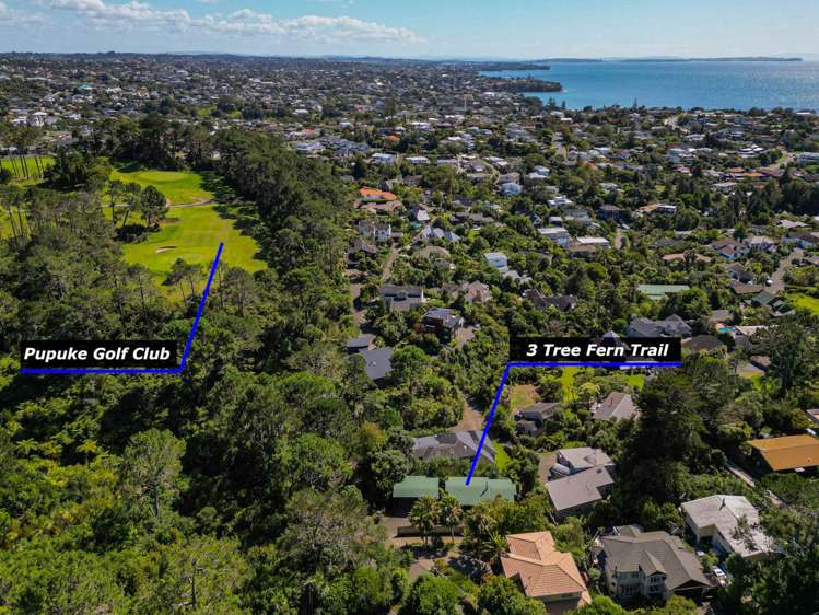 3 Tree Fern Trail Campbells Bay_22